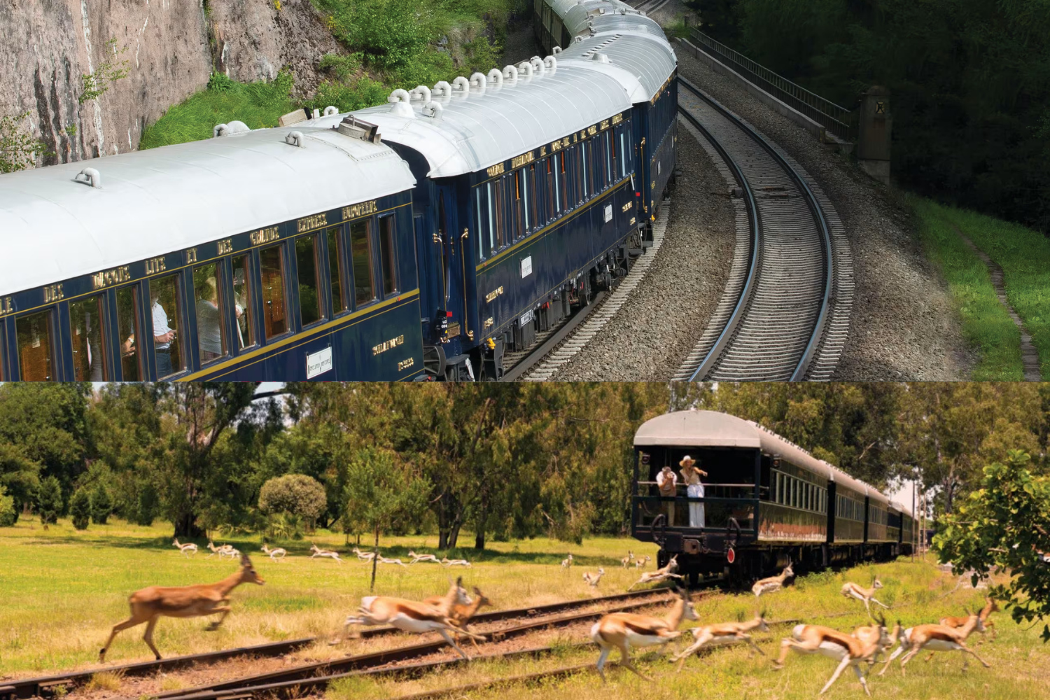 Top: The Venice Simplon-Orient Express in Route; Bottom: The Rovos Rail in that travels through various countries in Africa Top: The Venice Simplon-Orient Express in Route; Bottom: The Rovos Rail in that travels through various countries in Africa